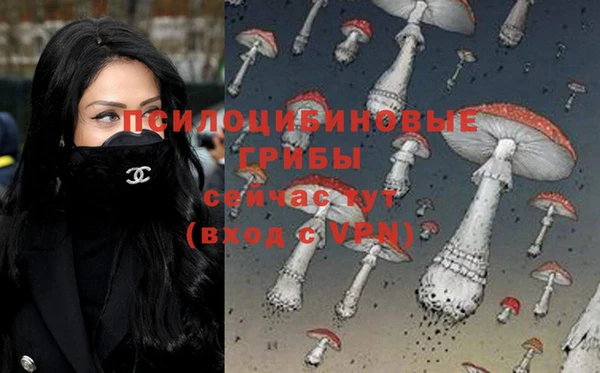 spice Тихвин